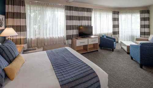 Suite estudio ejecutiva, 1 cama de matrimonio grande con sofá cama, frigorífico y microondas