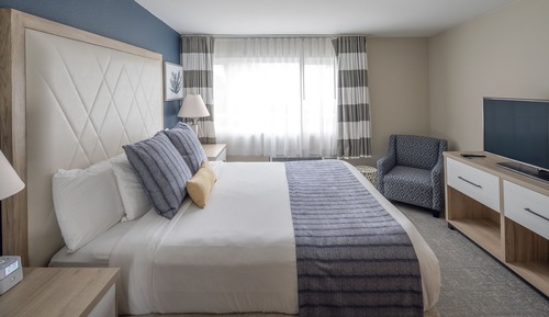 Suite, 1 cama de matrimonio grande con sofá cama, frigorífico y microondas, vistas a la bahía