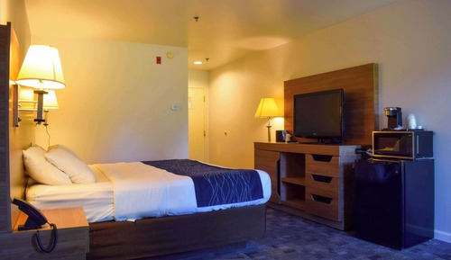 Habitación estándar, 1 cama de matrimonio grande, no fumadores