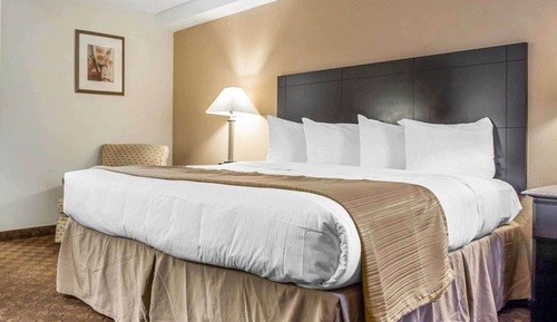 Habitación estándar, 1 cama de matrimonio grande, no fumadores