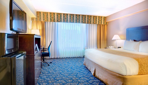 Habitación estándar, 1 cama de matrimonio grande