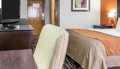 Habitación estándar, 1 cama de matrimonio grande, no fumadores