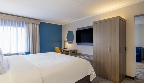 Suite, 1 cama de matrimonio grande con sofá cama