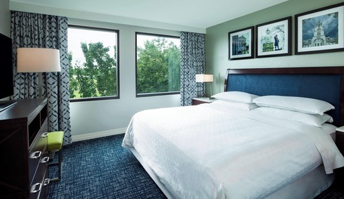 Suite Business, 1 cama de matrimonio grande con sofá cama