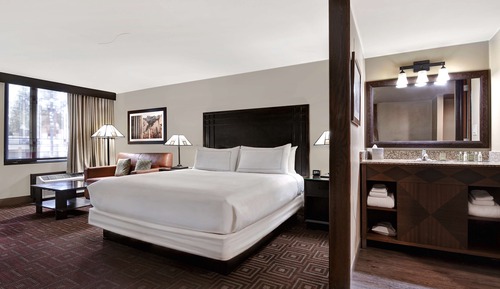 Habitación, 1 cama de matrimonio grande con sofá cama