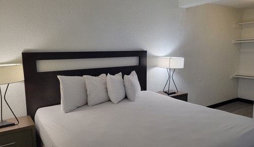 Suite, 1 habitación