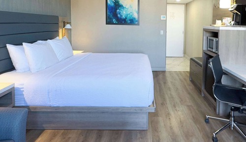 Habitación, 1 cama de matrimonio grande, no fumadores, frigorífico y microondas
