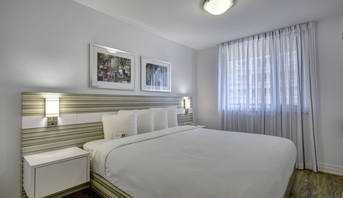 Suite estándar