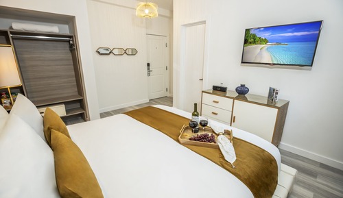Habitación estándar, 1 cama de matrimonio (165 sq ft)