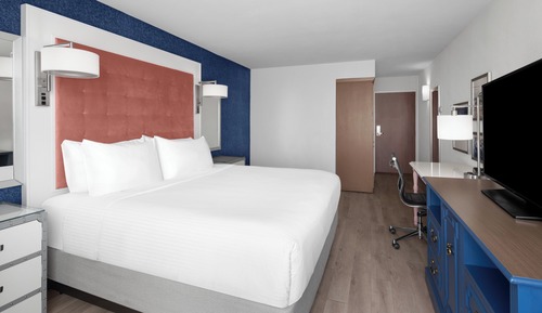 Habitación Premium, 1 cama individual
