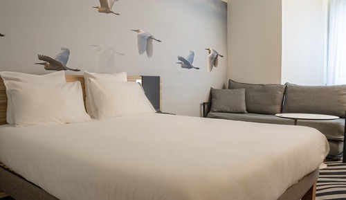 Habitación familiar, 1 cama doble con sofá cama