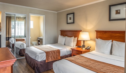 Habitación estándar doble, 2 camas dobles