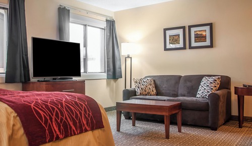 Habitación estándar, 1 cama de matrimonio grande, no fumadores