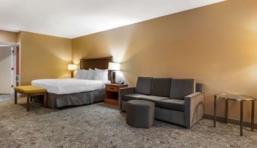 Suite, 1 cama de matrimonio grande, accesible para personas con discapacidad (Walk-in Shower)