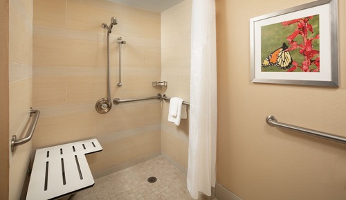 Habitación, 1 cama doble, accesible para personas con discapacidad (Mobility Roll-In Shower)