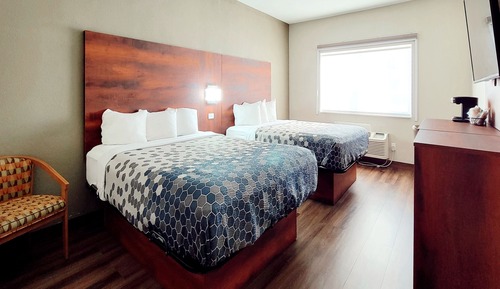 Habitación estándar, 2 camas de matrimonio, no fumadores