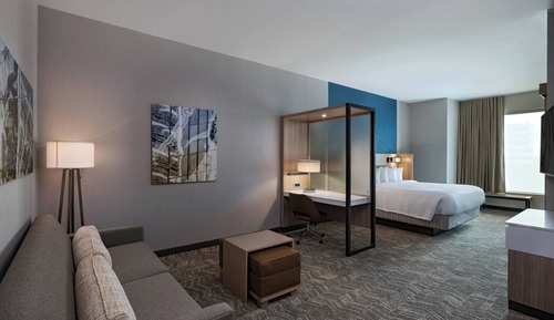 Suite, 1 cama de matrimonio grande con sofá cama, vistas a la ciudad