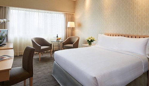 Superior Queen Room