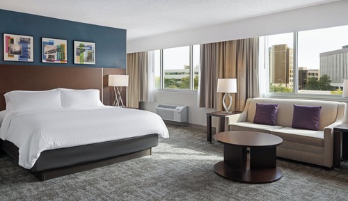 Habitación Premium, 1 cama de matrimonio grande con sofá cama