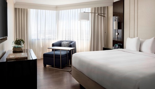Suite ejecutiva, 1 cama de matrimonio grande con sofá cama