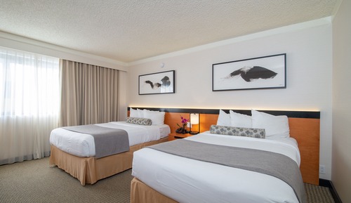 Habitación superior, 2 camas dobles (Superior Room with 2 Double Beds)