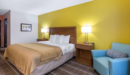 Habitación estándar, 1 cama de matrimonio grande, no fumadores
