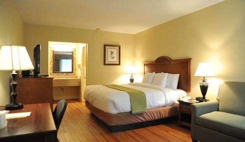 Habitación estándar, 1 cama de matrimonio grande