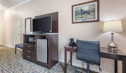 Habitación estándar, 1 cama de matrimonio grande, no fumadores