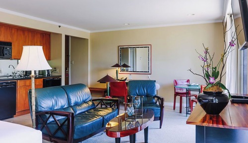Suite ejecutiva, 1 cama de matrimonio grande, cocina