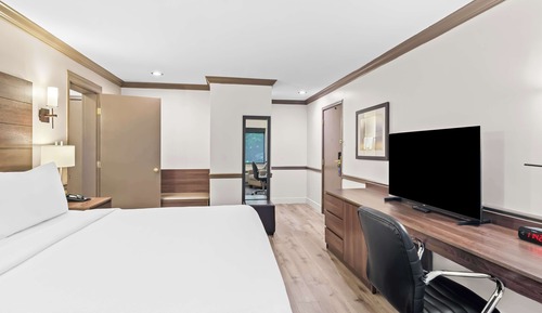 Habitación estándar, 1 cama de matrimonio grande, no fumadores, frigorífico y microondas