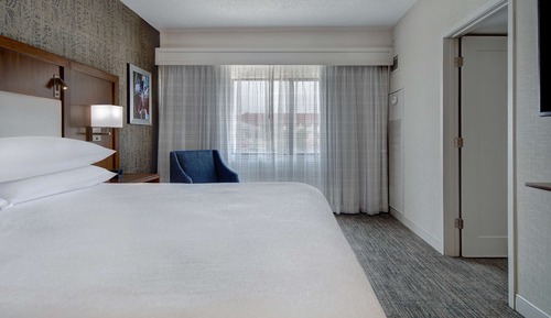 Suite, 1 cama de matrimonio grande (Conference)