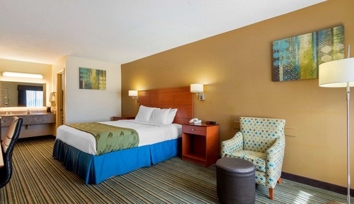 Habitación estándar, 1 cama de matrimonio grande, no fumadores