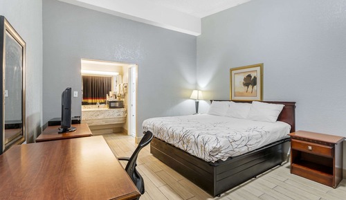 Habitación estándar, 1 cama de matrimonio grande, no fumadores