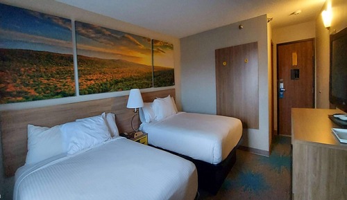 Habitación, 2 camas de matrimonio, no fumadores (Pet-Friendly)