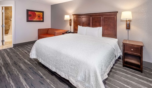 ADA Accessible, Room, 1 Queen Bed, Accessible (Roll-In Shower)