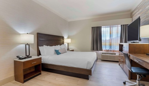 Habitación estándar, 1 cama de matrimonio grande, no fumadores, frigorífico y microondas