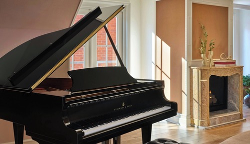 Suite presidencial, 1 cama de matrimonio grande