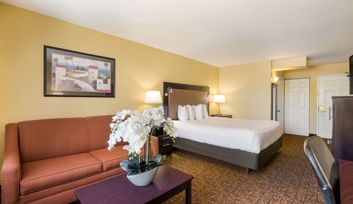 Habitación estándar, 1 cama de matrimonio grande, no fumadores