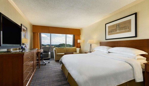 Room,1 King Bed Accessible, Bathtub