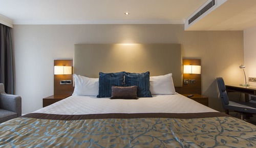 Habitación estándar doble, 1 cama doble