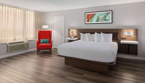 Suite junior, no fumadores (1 King Bed)