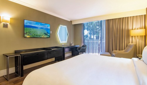 Habitación ejecutiva, 1 cama de matrimonio grande