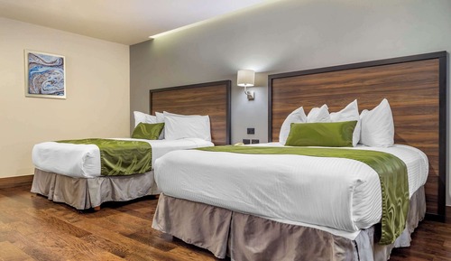 Habitación estándar doble, 2 camas dobles, no fumadores
