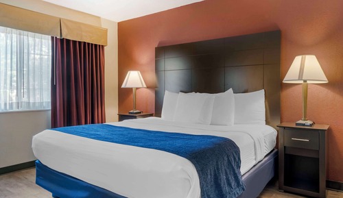 Suite, 1 cama de matrimonio grande, no fumadores, frigorífico y microondas