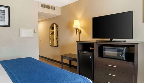 Habitación estándar, 1 cama de matrimonio grande, no fumadores, frigorífico y microondas