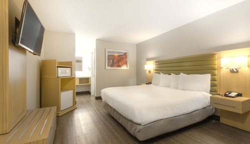 Habitación estándar, 1 cama de matrimonio grande