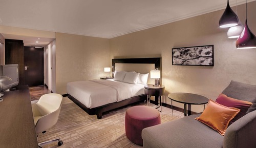 Room, 1 King Bed, Non Smoking