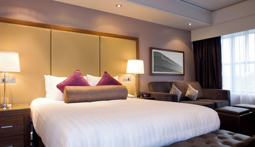 Habitación estándar, 1 cama de matrimonio grande