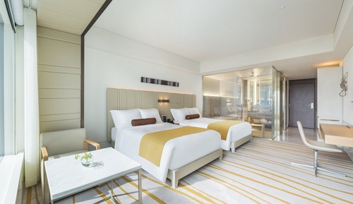 Habitación Deluxe con 2 camas individuales (Premier )