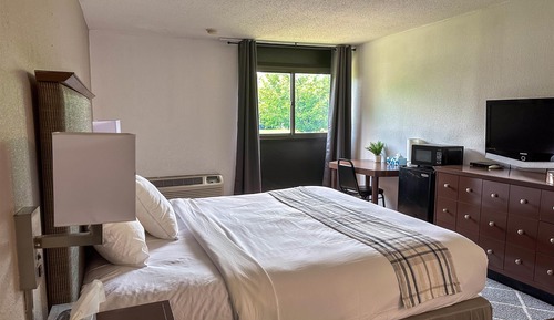 Habitación estándar, 1 cama de matrimonio grande, no fumadores